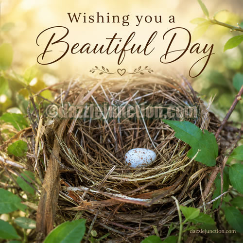 Bird Nest Beautiful Day Great Day greeting image