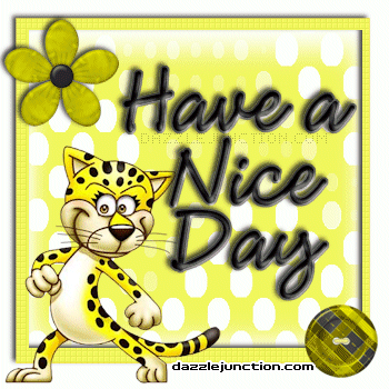 Cheetah Nice Day
