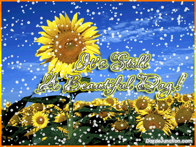 Sunflower Snow Great Day greeting image