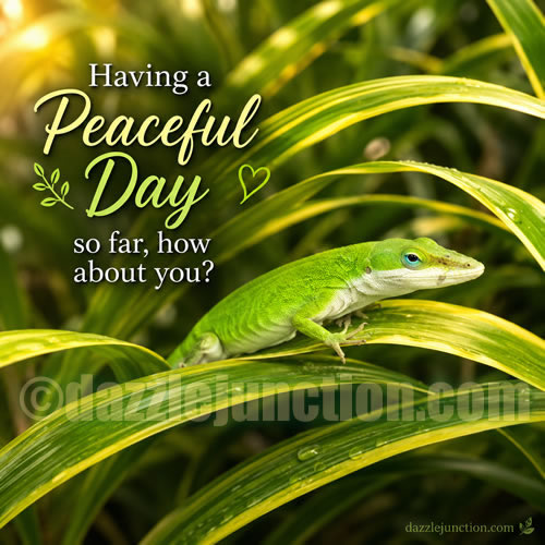Peaceful Day Anole Great Day greeting image