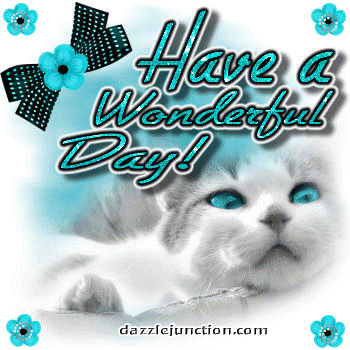Wonderful Day Cat Great Day greeting image