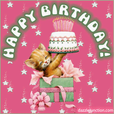 Cat Cake Gift