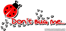 Dont Bug Me Headlines greeting image