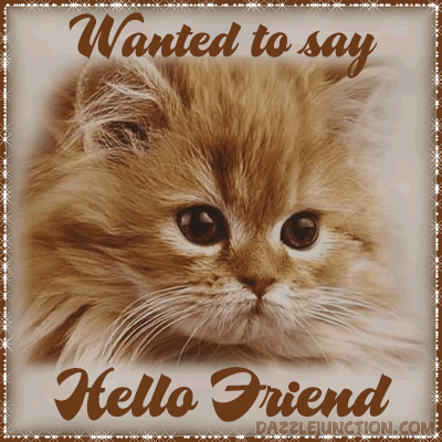 Cat Hello Friend image