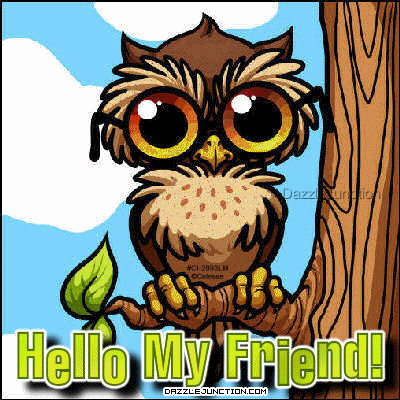 Owl Hello Friend