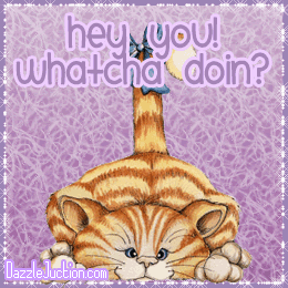 Hey Cat Hello greeting image