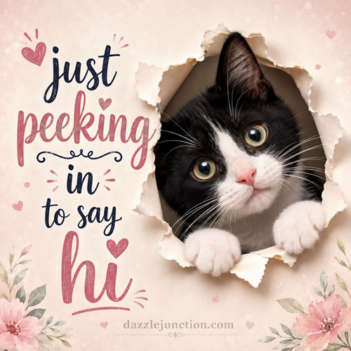 Cat Peeking In Hi Hello greeting image