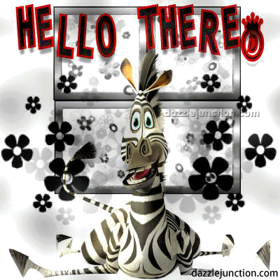 Zebra Hello There