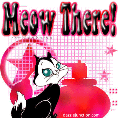 Meow There