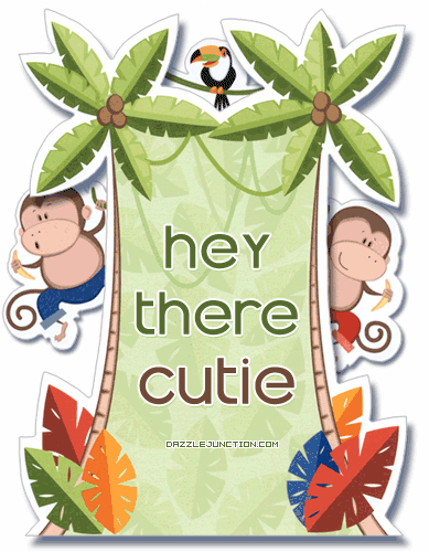 Monkey Hey Cutie