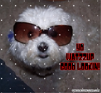 Dog Sunglasses Watzzup