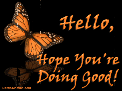 Orange Butterfly Hello image