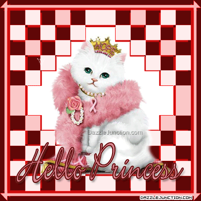 White Princess Cat