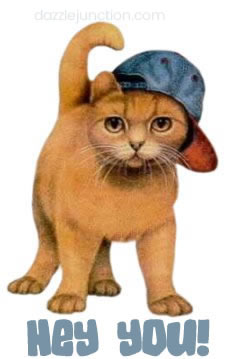 Hey You Cat Hat Hello greeting image
