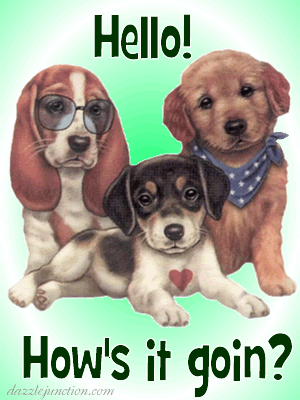 How's It Goin Pups
