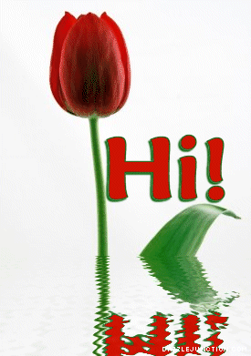 Hi Red Tulip Hello greeting image