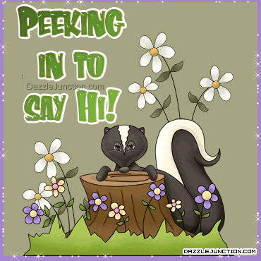 Peeking Skunk