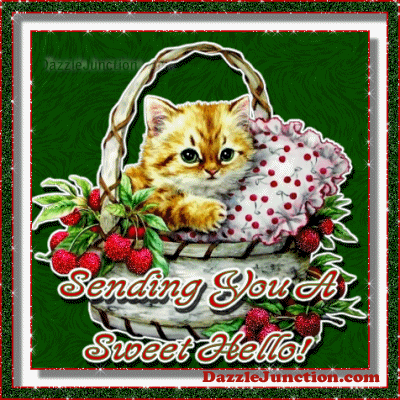 Sweet Hello Kitten