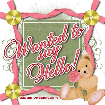 Wanted To Say Hello image