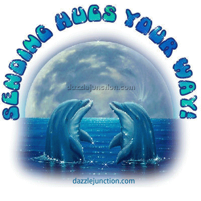 Dolphin Hugs