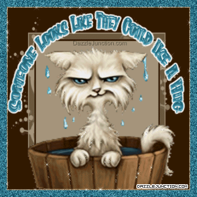 Could Use Hug Hugs greeting image