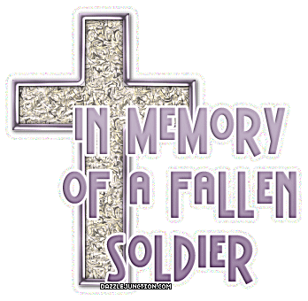 Fallen Soldier