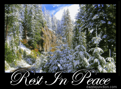 Rest In Peace Snow In Memory greeting image