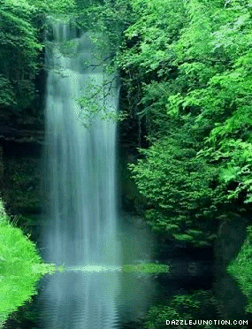 A Waterfall Misc Picture greeting image