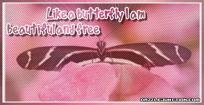 Butterfly Beautiful Free Misc Picture greeting image