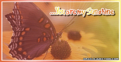Butterfly Sunshine