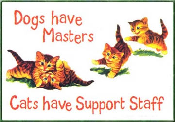 Dog Master Cat Support Misc Picture greeting image