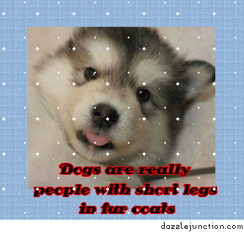 Dogs People Short Legs Misc Picture greeting image