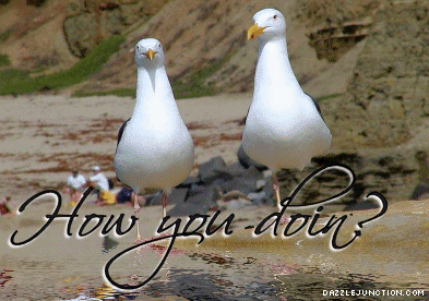 How You Doin Misc Picture greeting image