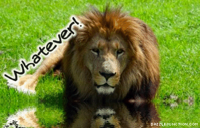 Whatever Misc Picture greeting image