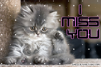 Miss You image