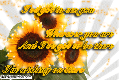Miss You image