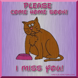 Miss You image
