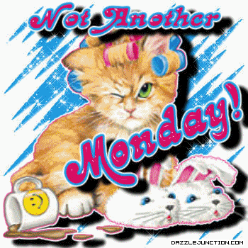 Not Another Monday Cat