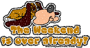 Dog Weekend Over Already Monday greeting image