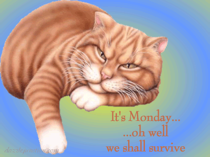 Cat We Shall Survive Monday greeting image