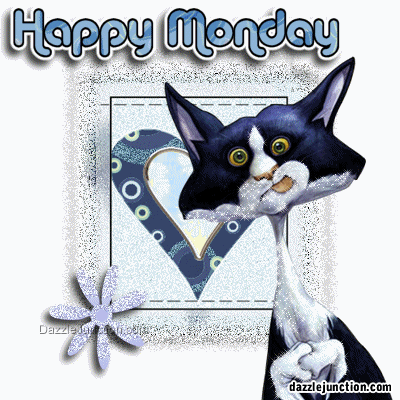 Silly Cat Happy Monday image