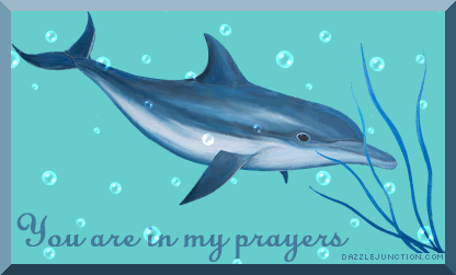 In My Prayers image