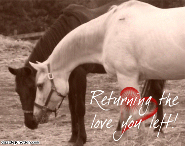 Rtl Returning Love greeting image