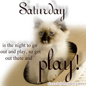 Cat Sat Dj