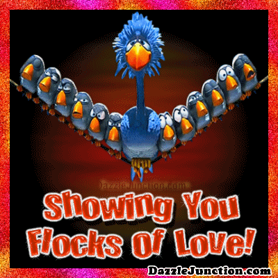 Flocks Of Love