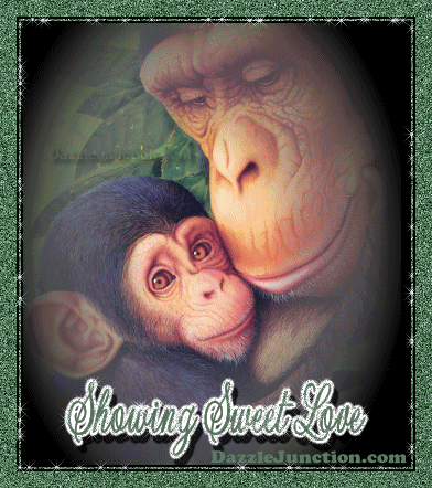 Monkey Love