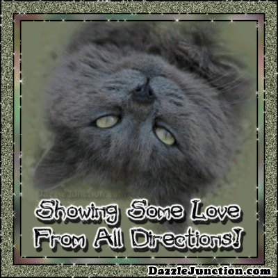 Upsidedown Kitty Love Showing Love greeting image
