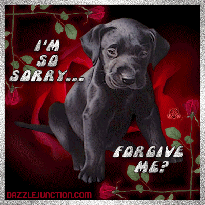 Forgive Sorry greeting image