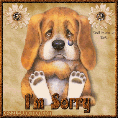 Forgive Sorry greeting image