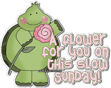 Flower Sunday